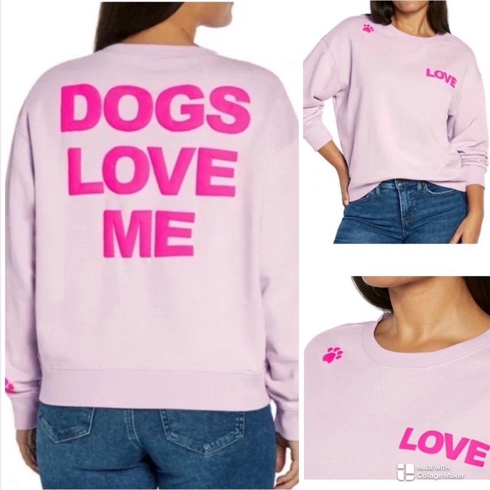 Wildfox Dogs love me sweatshirt